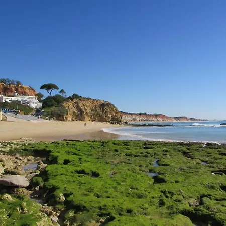 Cabrita Albufeira